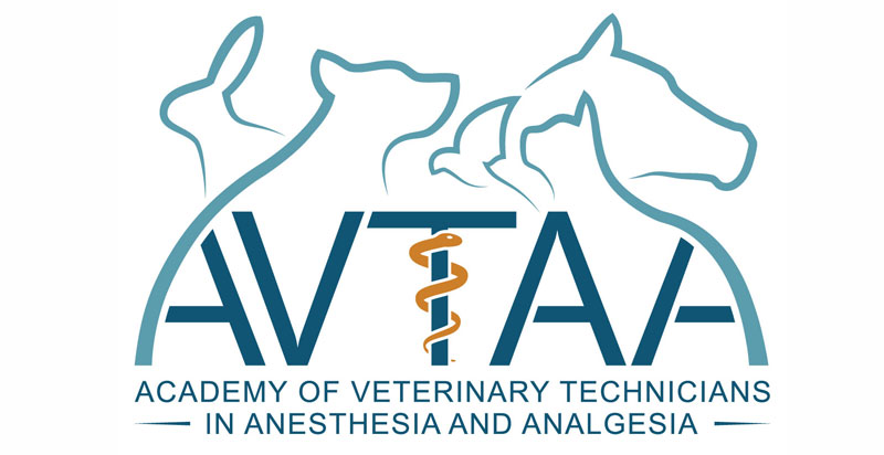 Anesthesia Vet Tech Group Gets Makeover