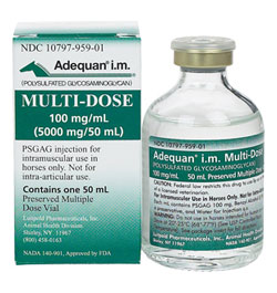 Luitpold Warns Of Adequan I.m. Shortages