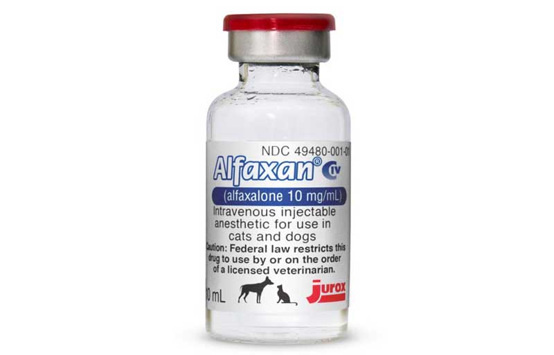 Veterinary Anesthetic Alfaxan Approved for U.S. Distribution