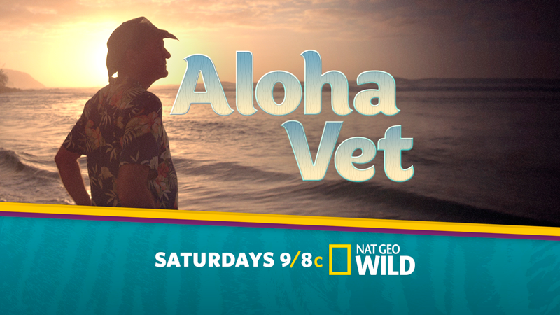 “Aloha Vet” Shows What it’s Like to Work in Paradise