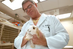 Central Jersey Gets 24-Hour Animal Emergency Facility