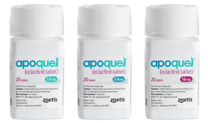 Apoquel Anti-itch Drug Remains in Short Supply
