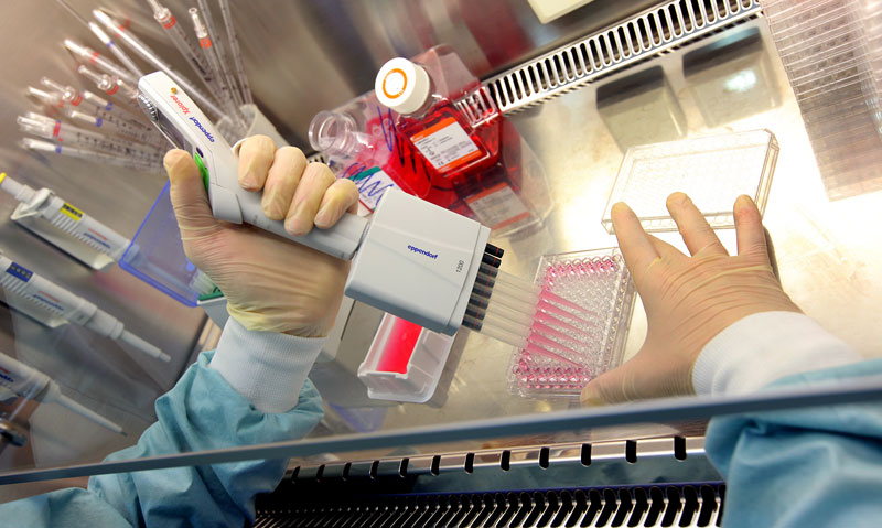 Aratana Seeks Approval of Osteoarthritis Therapy