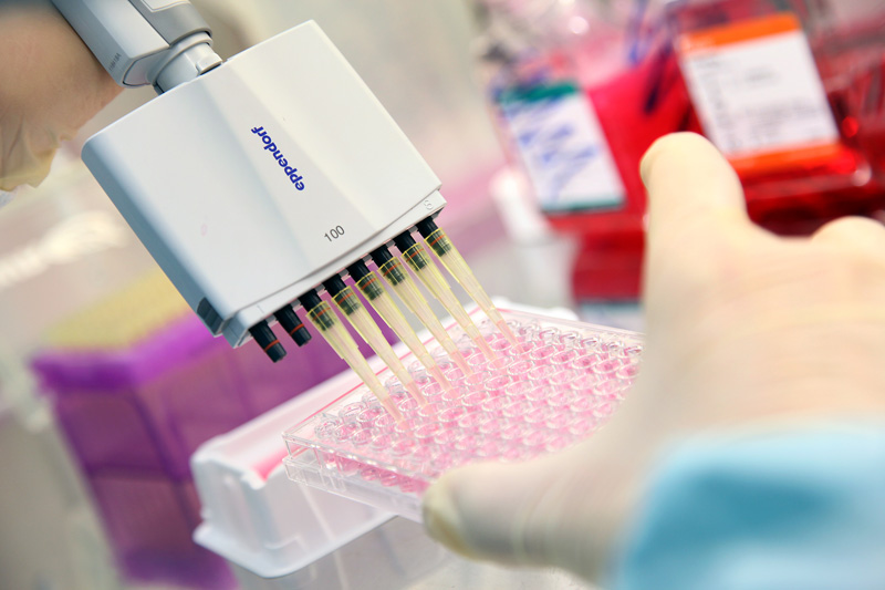 FDA Approves Aratana Osteoarthritis Drug