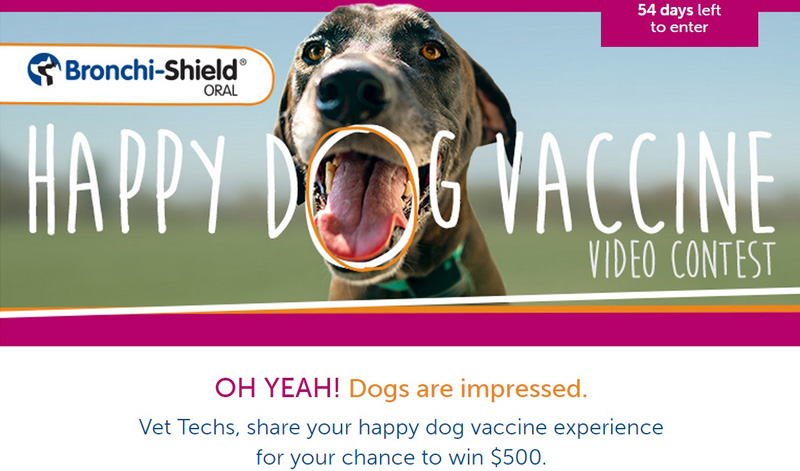 BIVI Teams Up With Vet Tech Group
