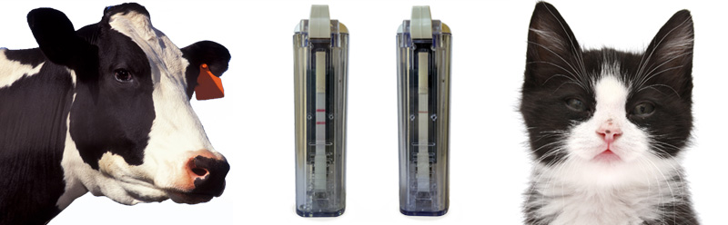 Biogal Offers Rapid Distemper, Lepto Tests