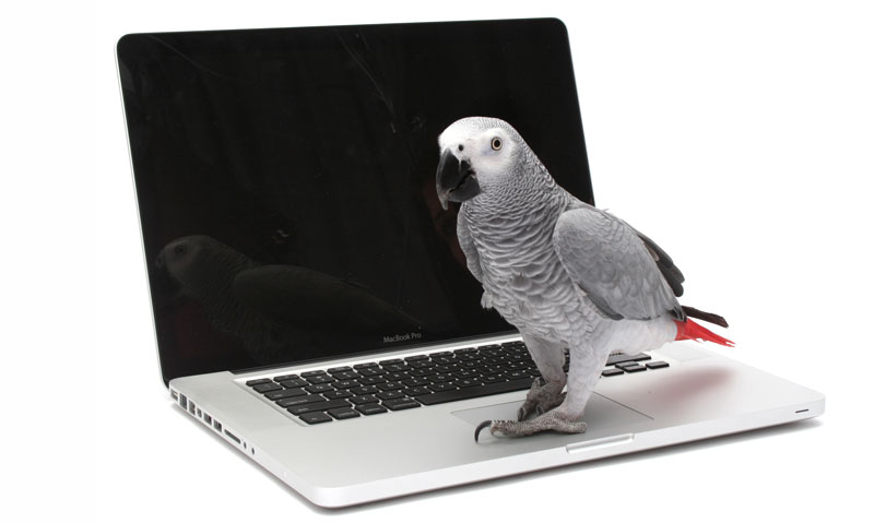 Webinar on Animal Health Sector Set for July 7