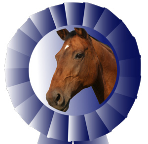 Nominations For Outstanding Equine Vets Being Accepted