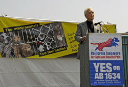 Senate Amendment Alters Mandatory Spay/Neuter Bill In California