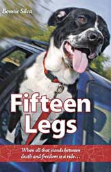 Volunteer Animal Transport To Foster Or Forever Homes