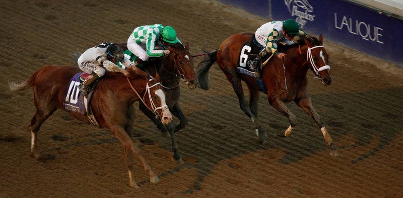 ‘Bleeding’ Study Seeks 100 Performance Horses