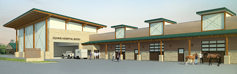 CSU Plans $47 Million Equine Hospital
