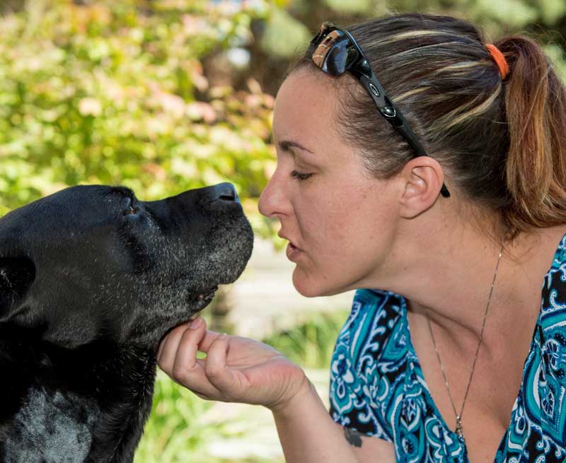 Colorado State Vets Help Ailing Military Dog