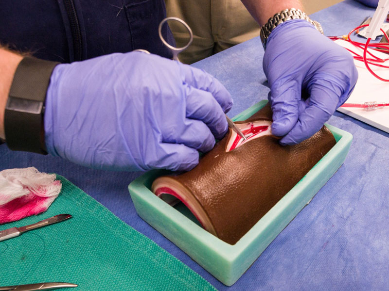 CSU Vets Refine Art of Artificial Tissue