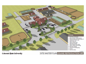 CSU To Build $5M Equine Reproduction Lab Replacement