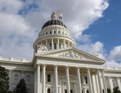 California Spay-Neuter Bill Set For Hearing