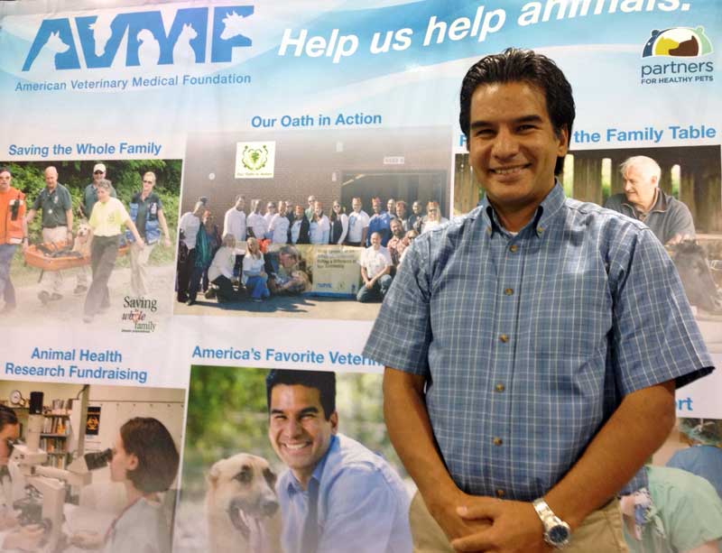 Voting Opens for ‘America’s Favorite Veterinarian’