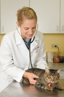 Market For Veterinary Care Remains Bright