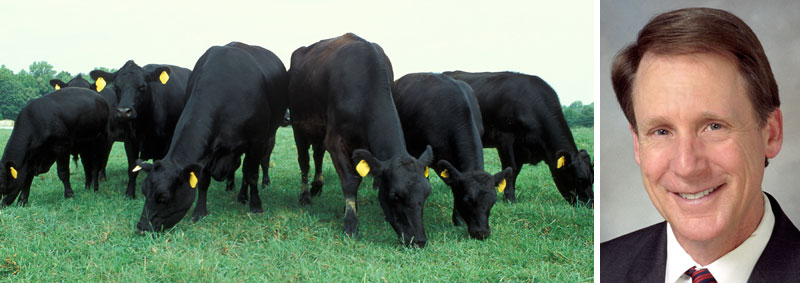 Texas Tech May Open Veterinary School