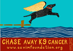 Vet Group Urges Checking For Canine Cancer