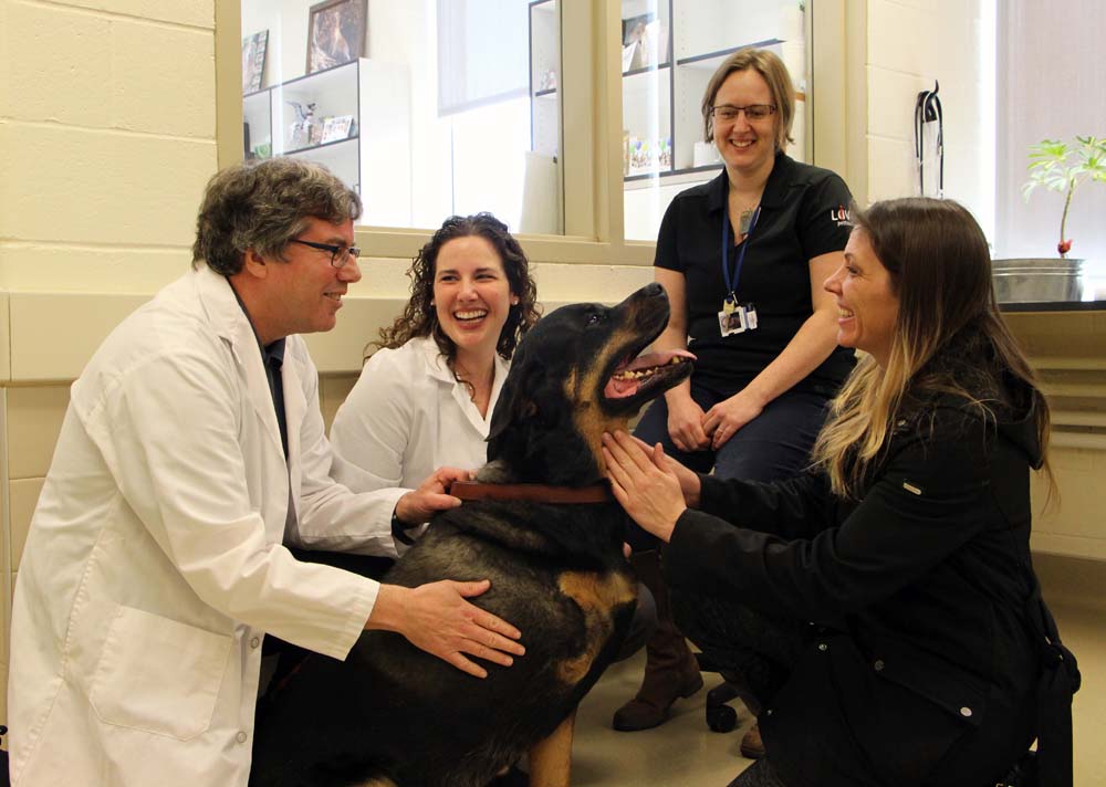 OVC Takes Part in Bone Cancer Clinical Trial