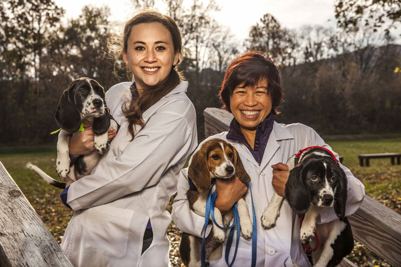 World’s First ‘Test Tube’ Dogs Born at Cornell