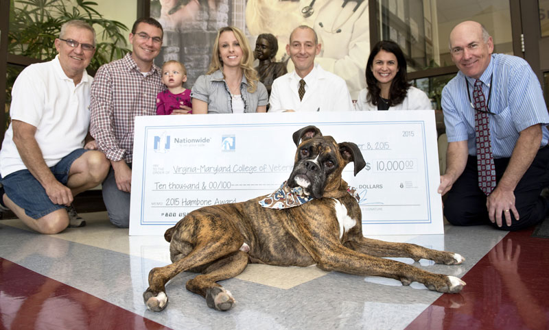 Skewer-Gobbling Boxer Wins Hambone Award