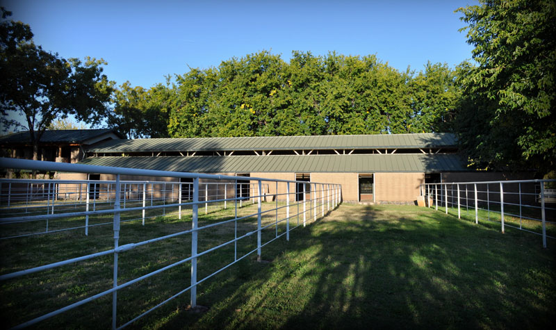 New Arizona Vet School Gets $2.5 Million Ranch