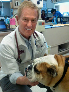Las Vegas Veterinarian Wins National Award From Pets Best Insurance