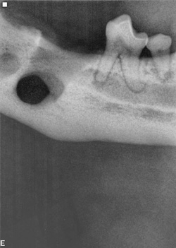 Three Elements Of Expert Dental Care