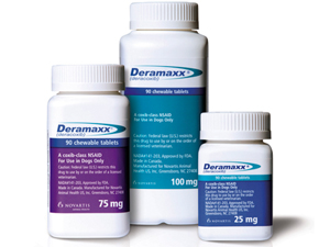 Deramaxx Approved For Post-Op Dental Pain In Dogs