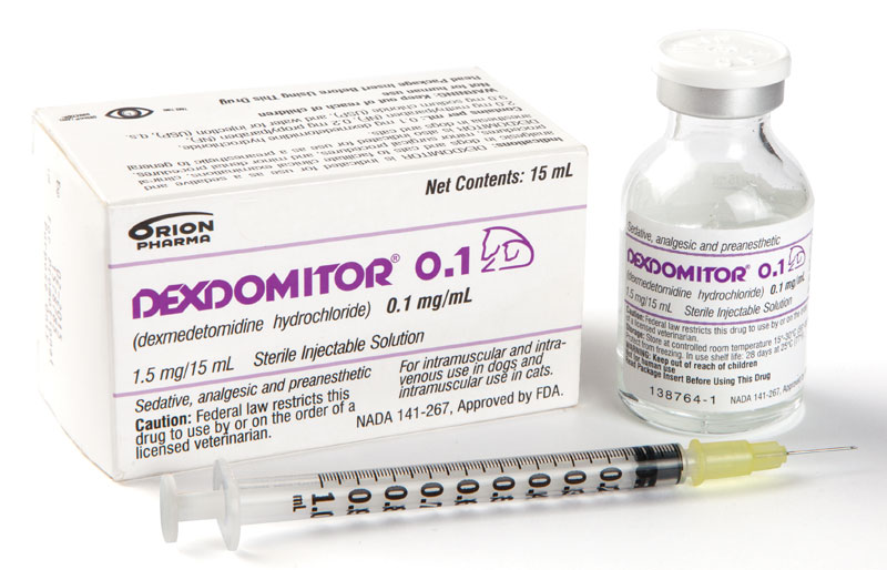 Calming Drug Reformulated for Small Cats, Dogs