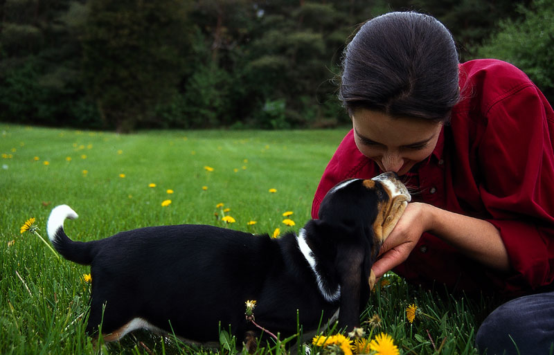 Pet Owners Ready to Spend More in 2016