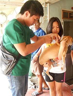 Vaccinations, Education In Spotlight As World Rabies Day Nears