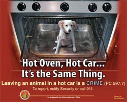 Campaign Warns ‘Leaving Pets In Hot Car Is A Crime’