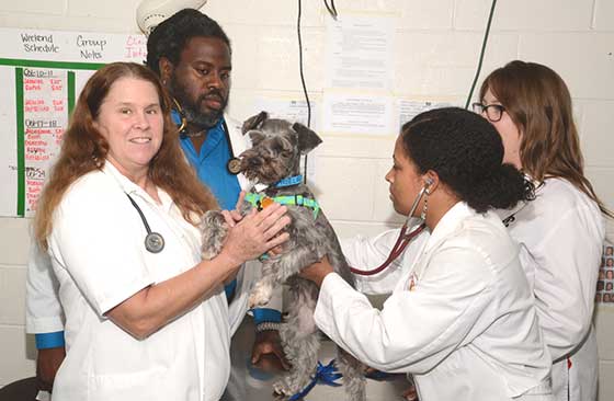 vet school