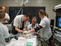 LSU To Host Symposium On Infectious Diseases
