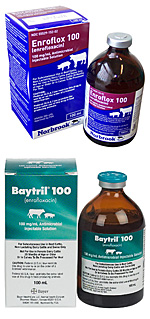 Court Orders FDA To Suspend Approval Of Norbrook’s New Bovine Drug