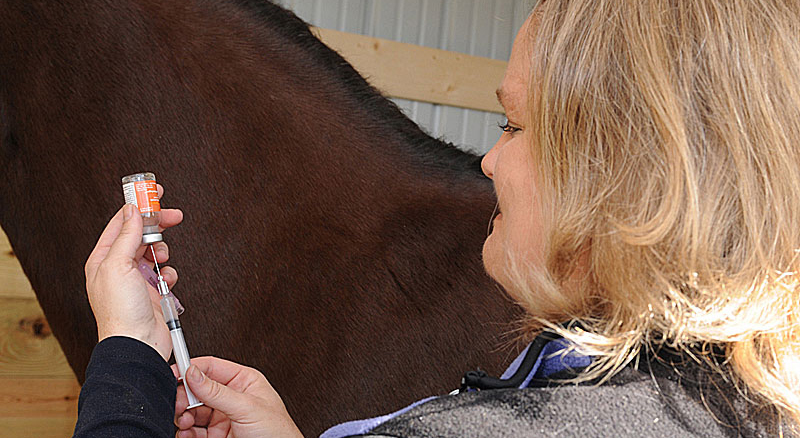AVMA Forms Committee to Look at Compounded Drugs