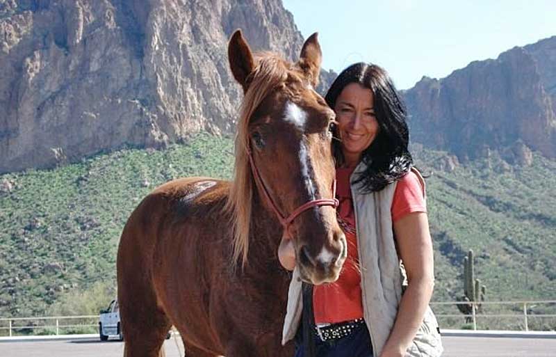 Do You Know a Hero Vet or Vet Tech?