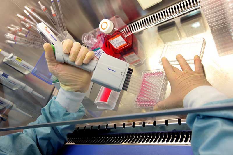 FDA Issues Planned Guidance for 2015