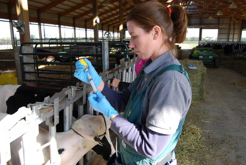 Veterinary Medicine Mobility Act Heads to President