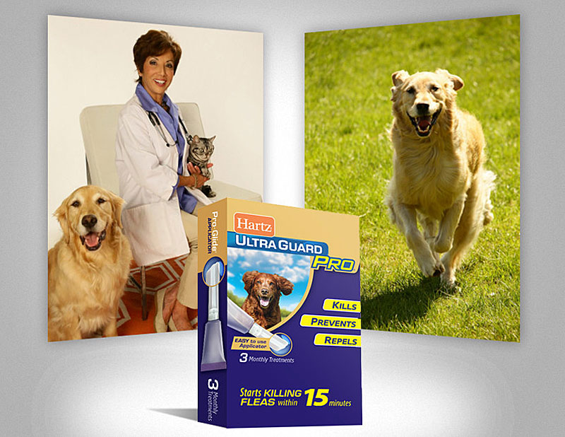 Hartz Unites Pet Owners in Flea, Tick Fight