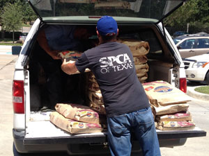 Hill’s Launches Disaster Relief Network For Pets