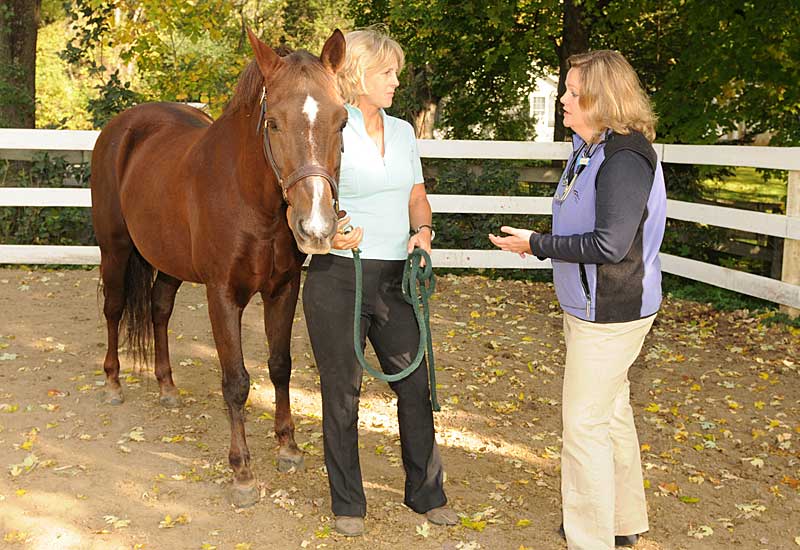 It’s B-a-a-c-k! Livestock Virus Returns