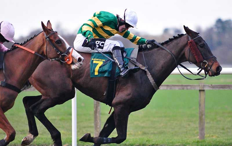 4 Vets Accused of Drugging Racehorses
