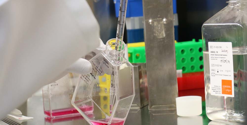 Wisconsin Vet School Sees Increased Grant Support