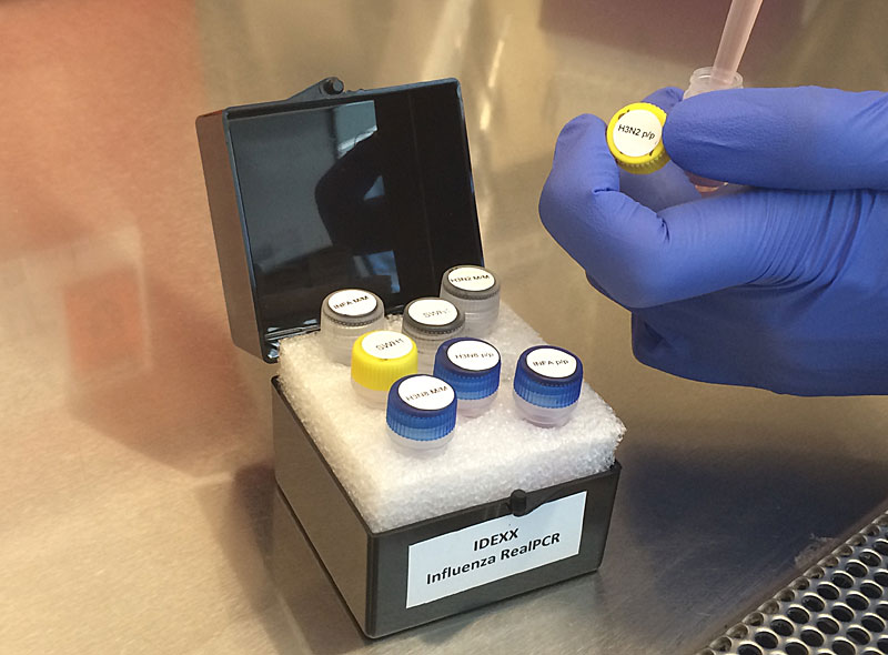 Idexx Responds to Outbreak With H3N2 Dog Flu Test