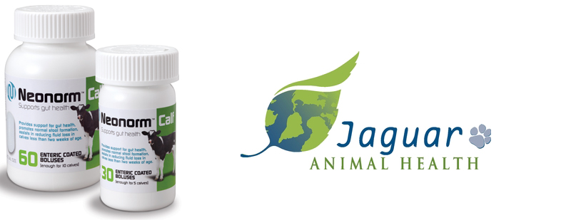 Jaguar Optimistic About Diarrhea Drug