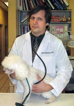 Florida Practitioner Becomes Latest My Vet’s The Best Winner